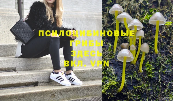 сатива Белокуриха