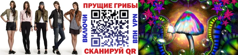 Псилоцибиновые грибы прущие грибы где найти Наро-Фоминск